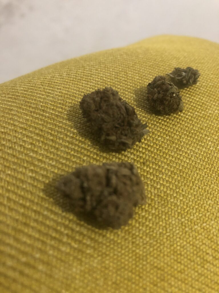 SMALL BUDS | COGOLLOS DE CBD - reseña de Hota_EmeEse