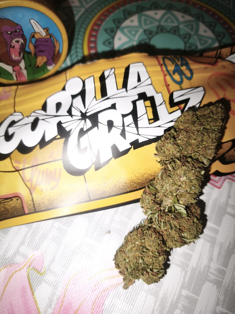 ORANGE COOKIES CBD | FLORES DE CBD OUTDOOR - reseña de el_templo_de_shiva