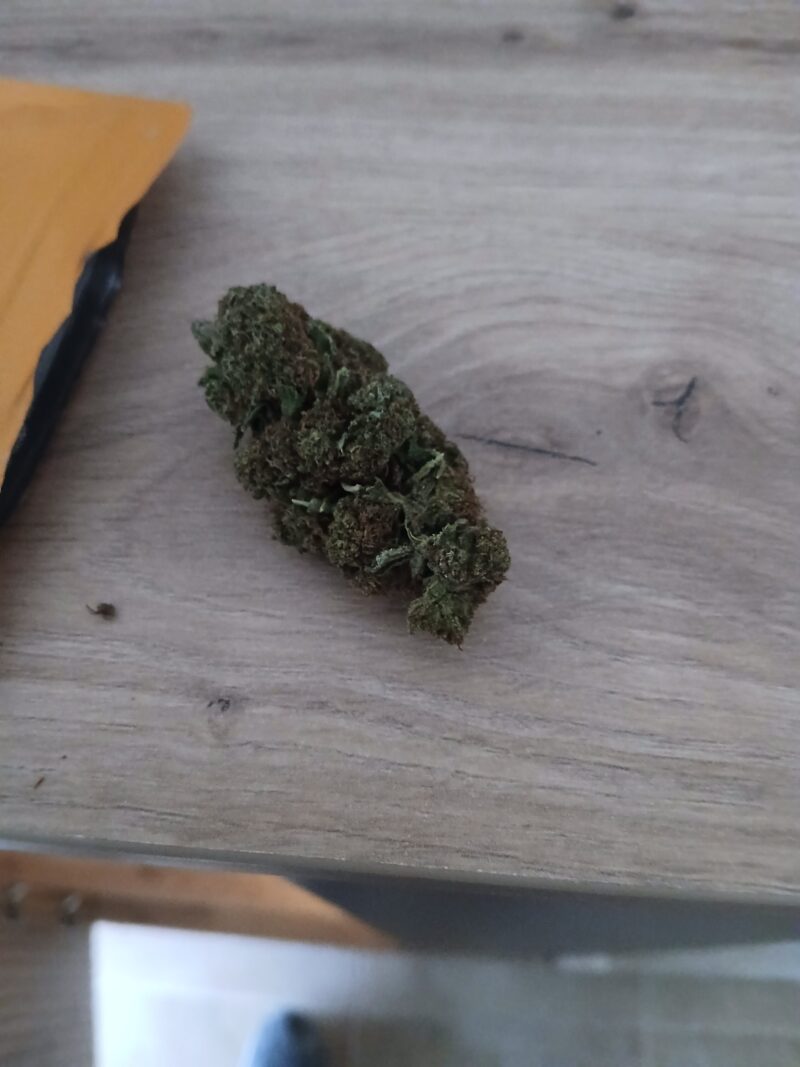 LEMON HAZE CBD | FLEURS DE CBD EN EXTÉRIEUR - reseña de manzanomarquezr