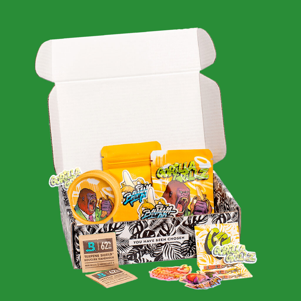 COUPLE PACK | FLORES DE CBD INDOOR 2