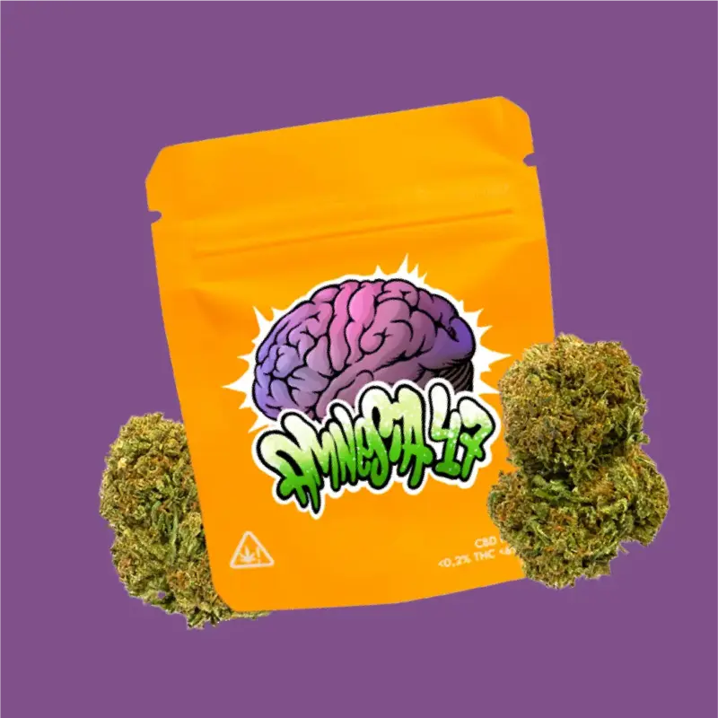 AMNESIA CBD 47 | FLEURS DE CBD EN EXTÉRIEUR