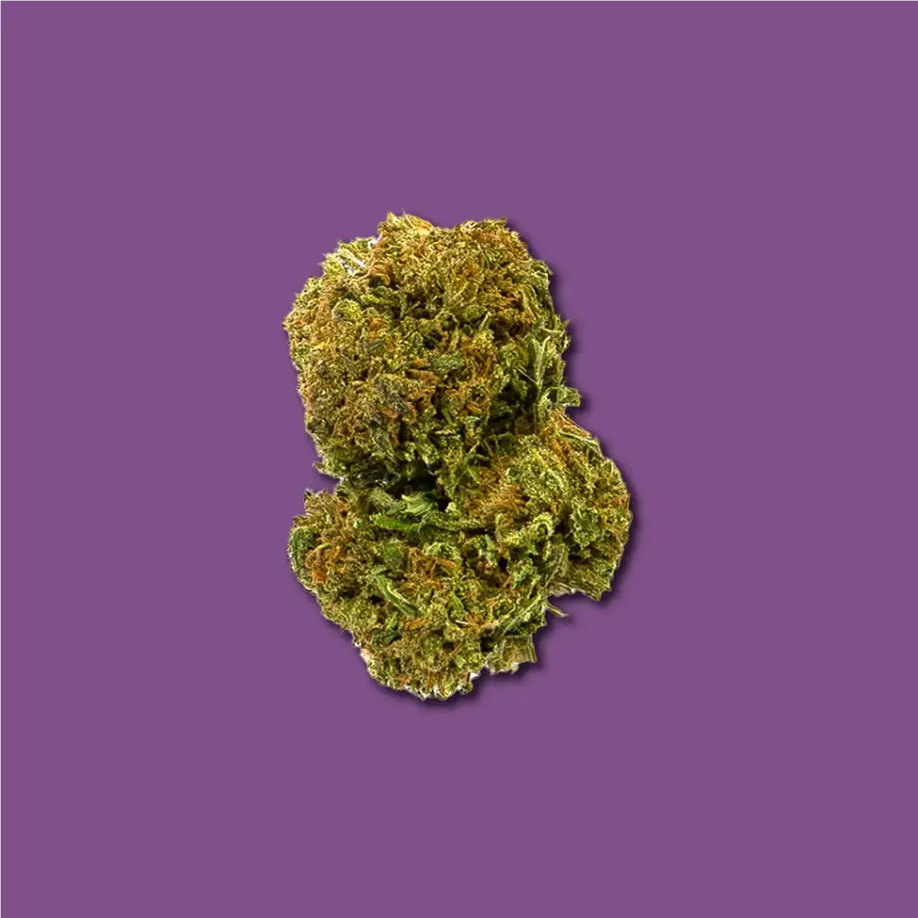 AMNESIA 47 CBD 2