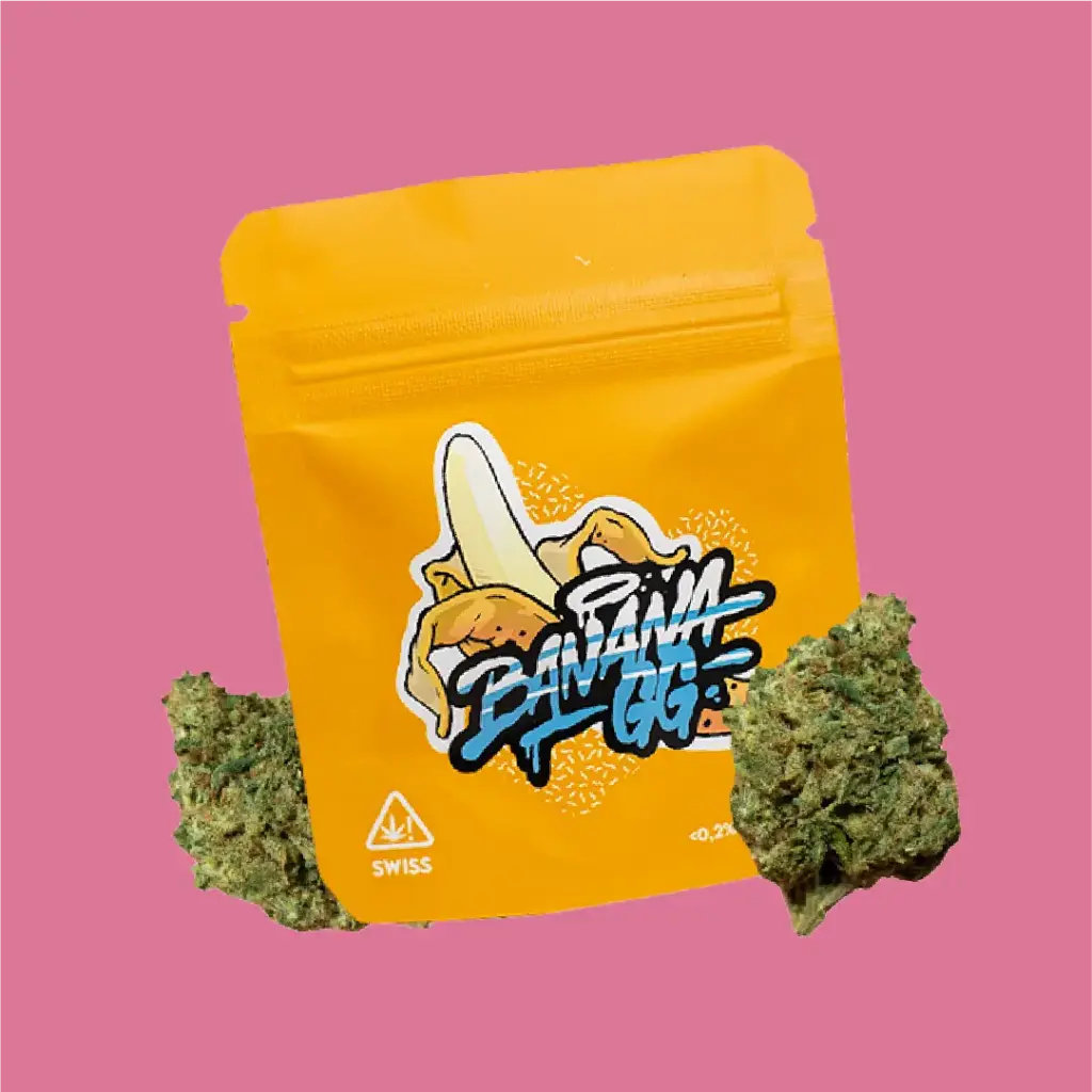 BANANA GG CBD | COGOLLOS DE CBD INDOOR