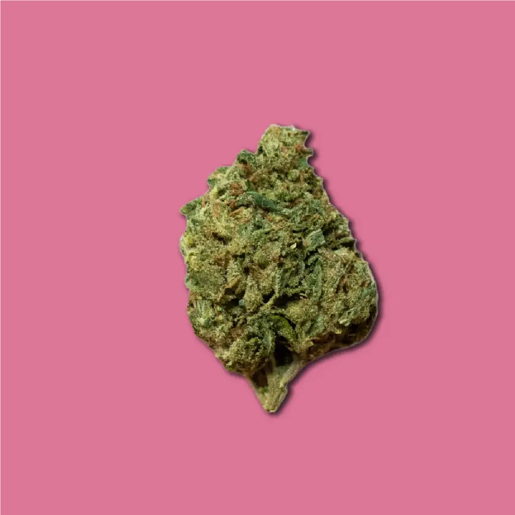 BANANA GG CBD | COGOLLOS DE CBD INDOOR 2