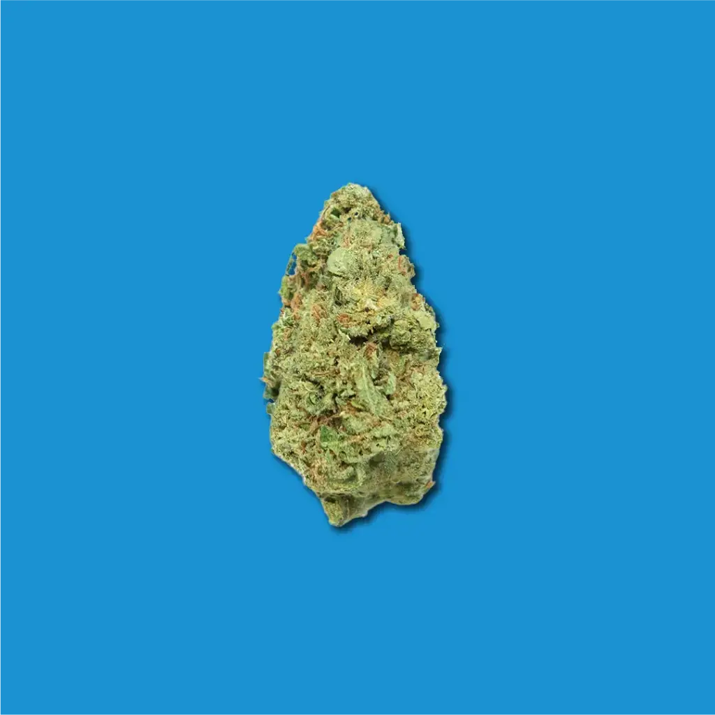 GELATO CBD | COGOLLOS CBD GREENHOUSE 2