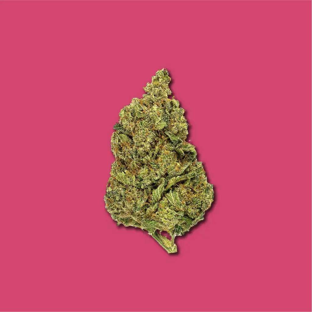 GORILLA GRILLZ FLORES | COGOLLOS DE CBD 2