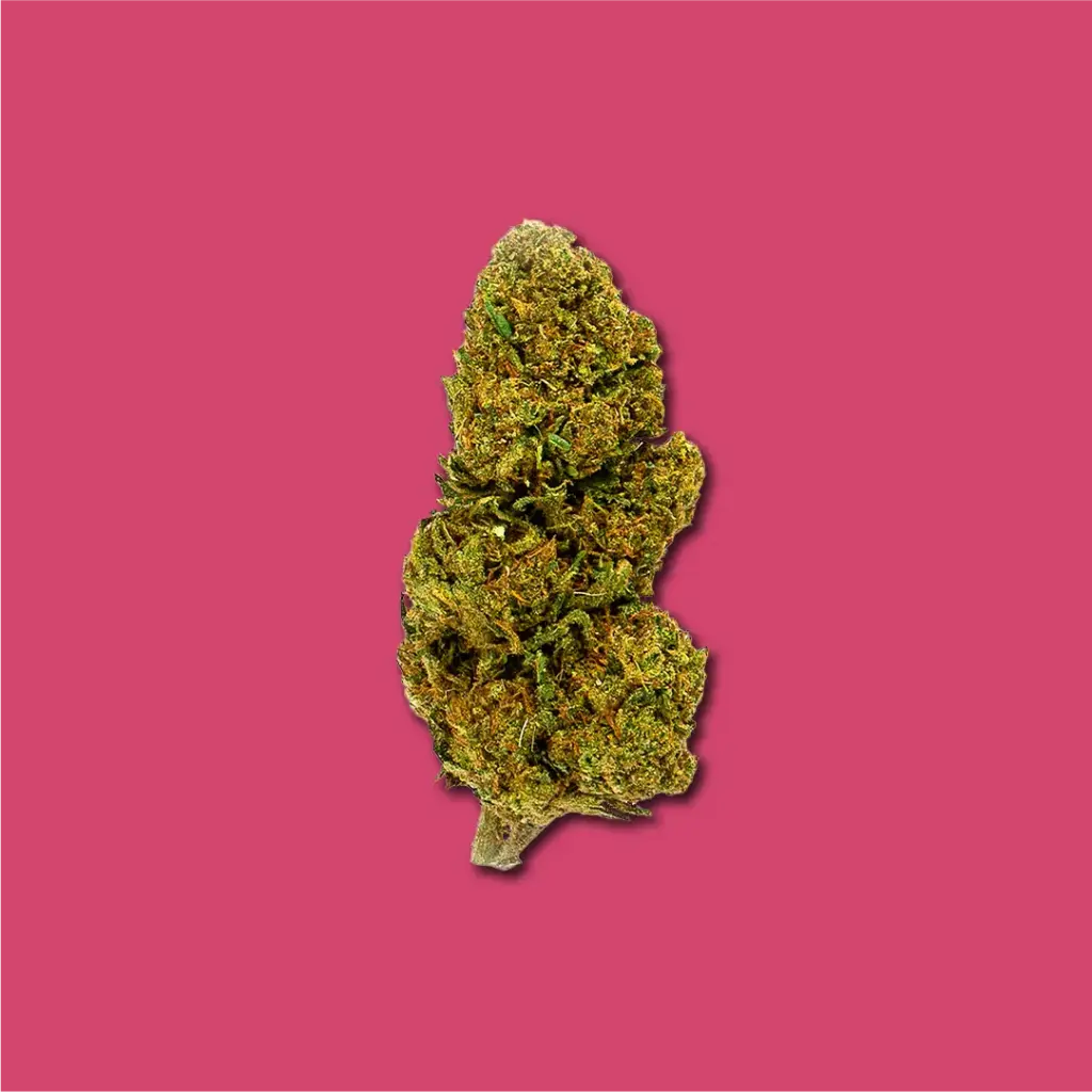 LEMON HAZE CBD | OUTDOOR CBD BLUMEN 2